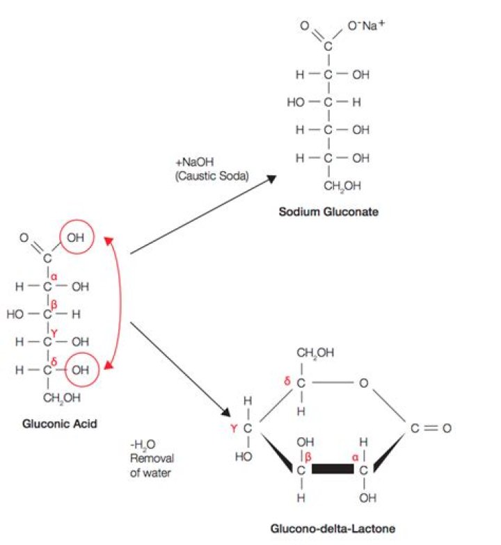 Is sodium gluconate organic?
