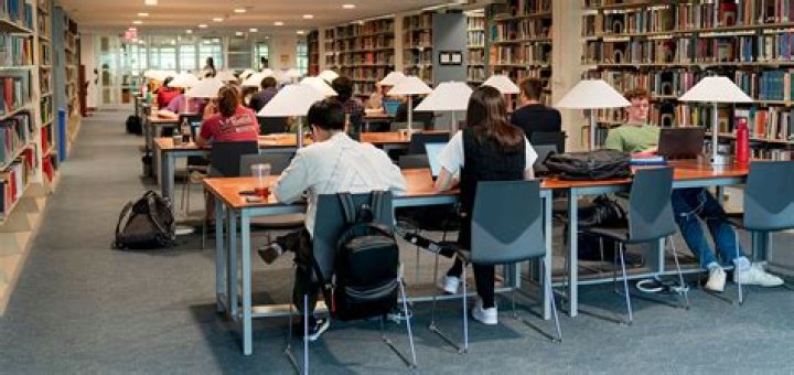 Is studying in the library more effective?