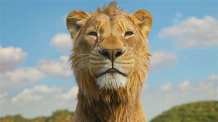 Is the new Lion King on Disney plus?