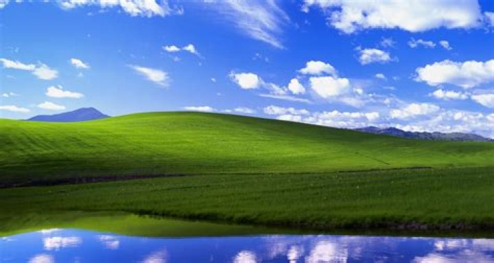 Is the Windows XP background copyrighted?