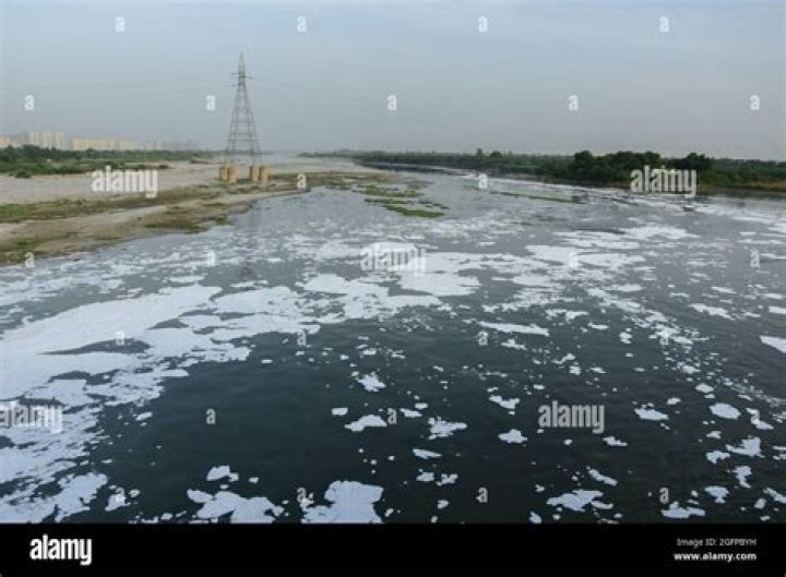 Is the Yamuna river polluted?