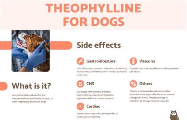 Is theophylline safe for dogs?