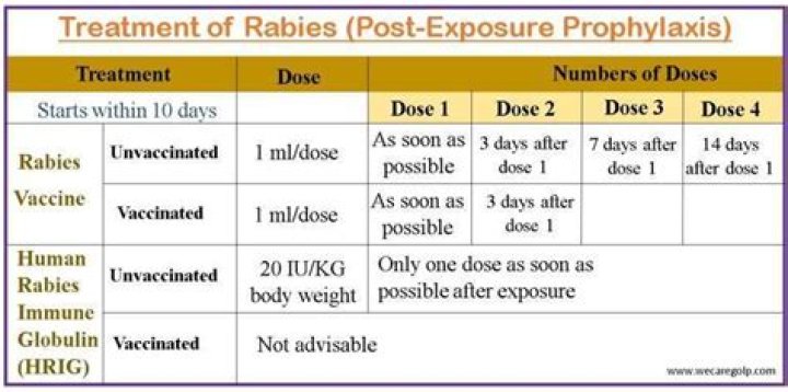 Is there a 5 year rabies shot?