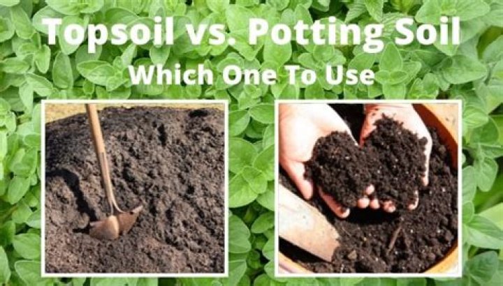 Is there a difference between topsoil and potting soil?