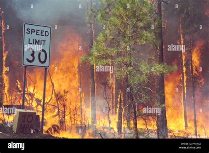 Is there a fire in Los Alamos?