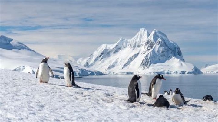 Is there a telescope on Antarctica?