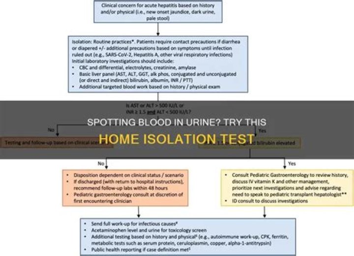 Is there a way to test for blood in urine at home?