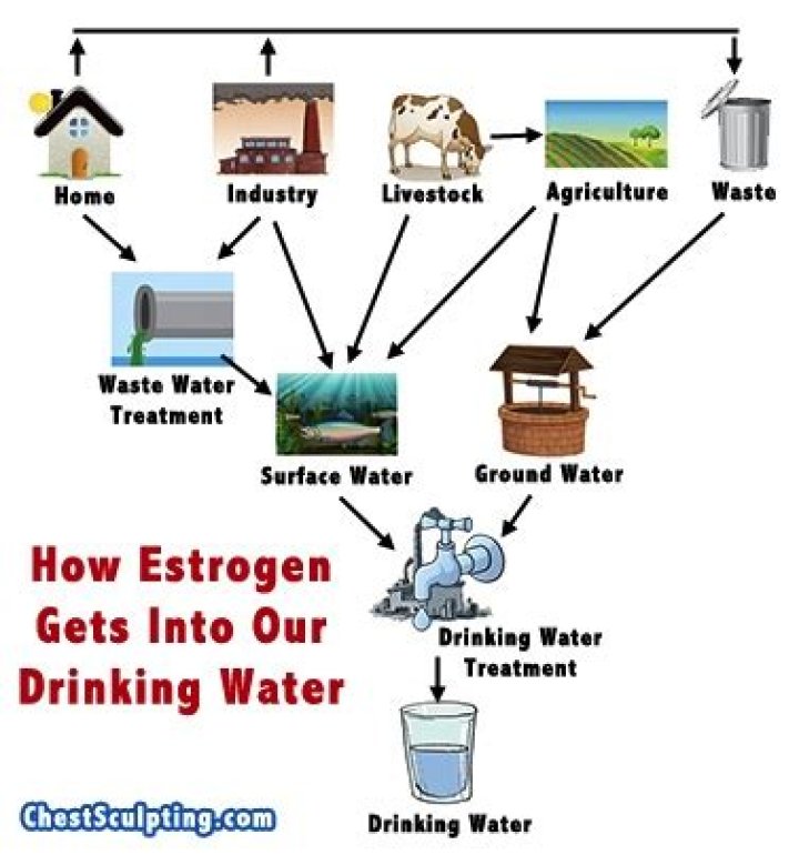 Is there estrogen in drinking water?