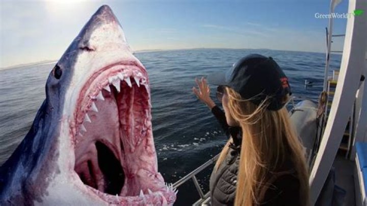 Is there sharks in South Africa?