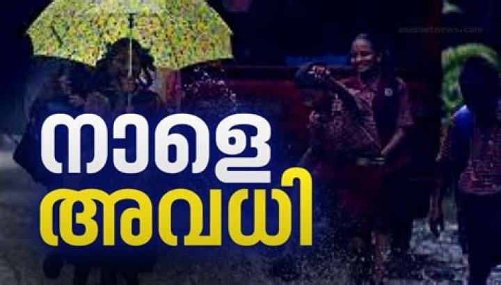 Is tomorrow a holiday in Kottayam 2019?