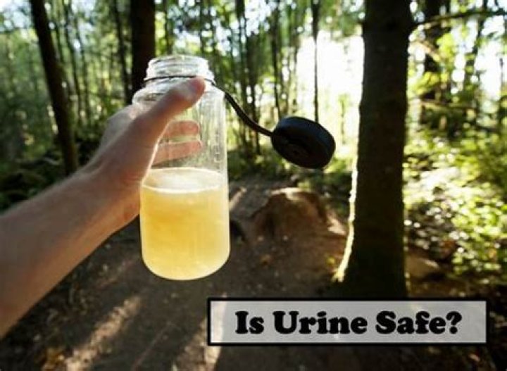 Is urine safe to touch?