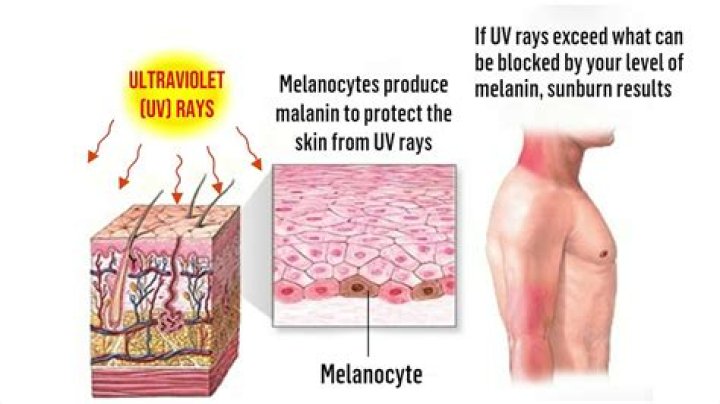 Is UV-C harmful to humans?