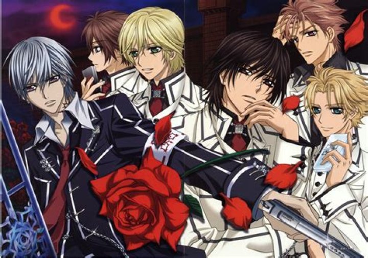 Is Vampire Knight over?