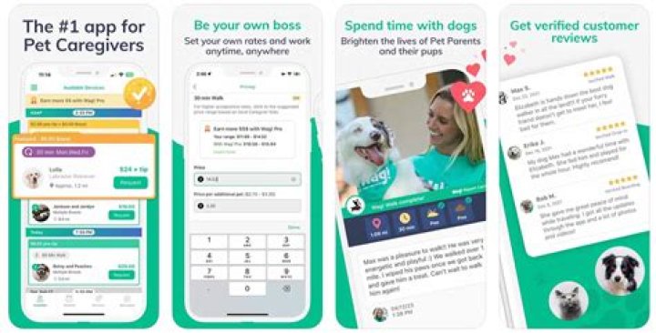 Is walking for WAG worth it?