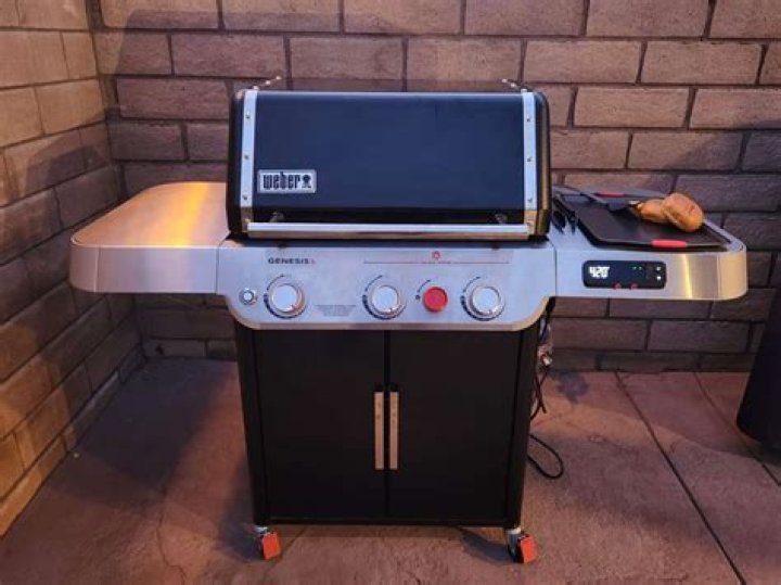 Is Weber Genesis worth the money?