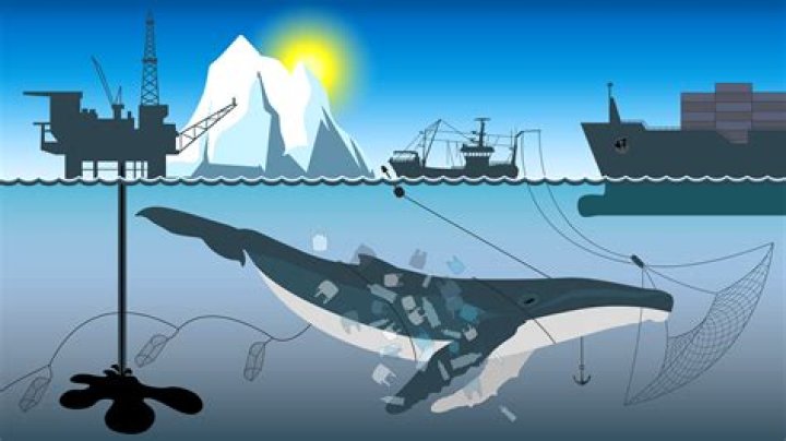 Is whaling banned in Australia?