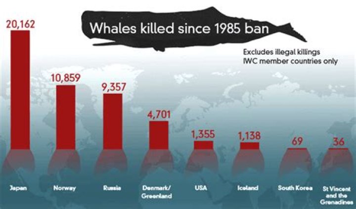 Is whaling legal?