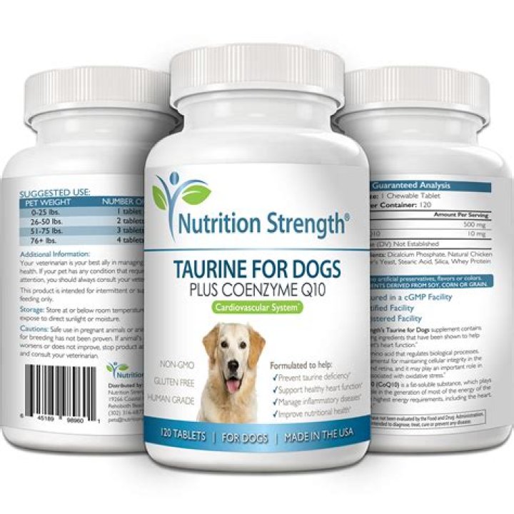 Is whey bad for dogs?