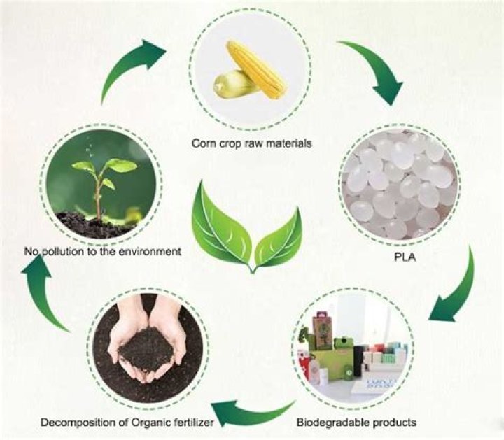 Is wood PLA biodegradable?