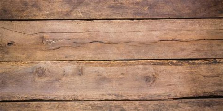 Is Woodbine poisonous?