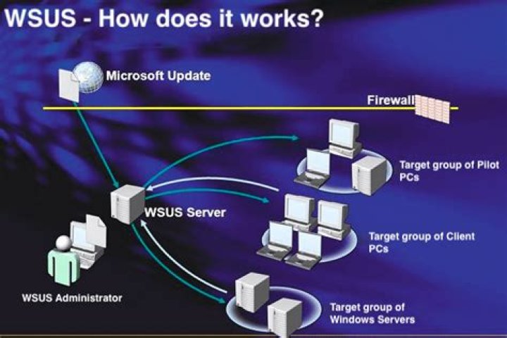 Is WSUS necessary?