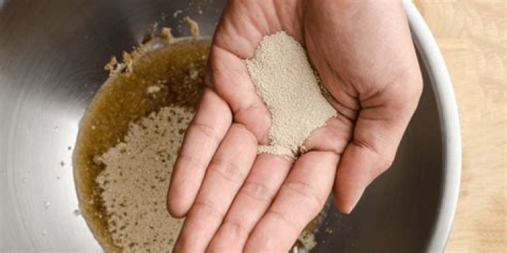 Is yeast for making bread harmful?