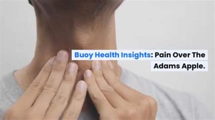 Is your Adam's apple supposed to be hard?