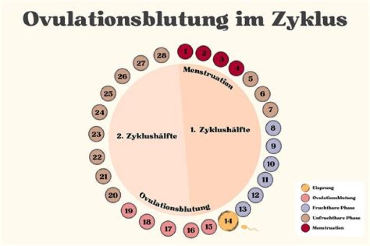 Ist es normal beim Eisprung zu bluten?