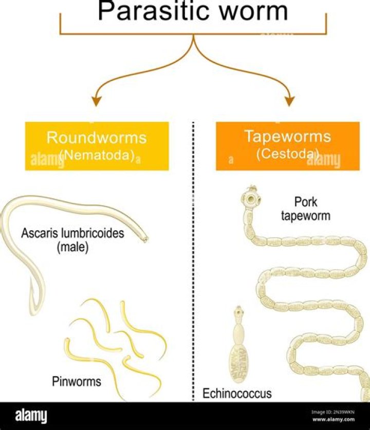 Ist Parasite gruselig?