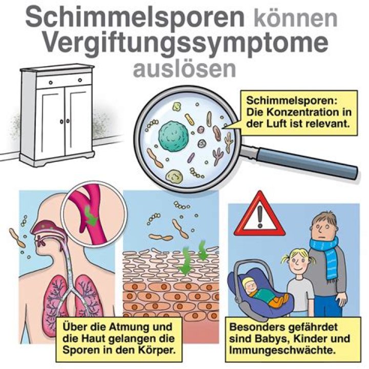 Kann man durch Schimmel Ausschlag bekommen?