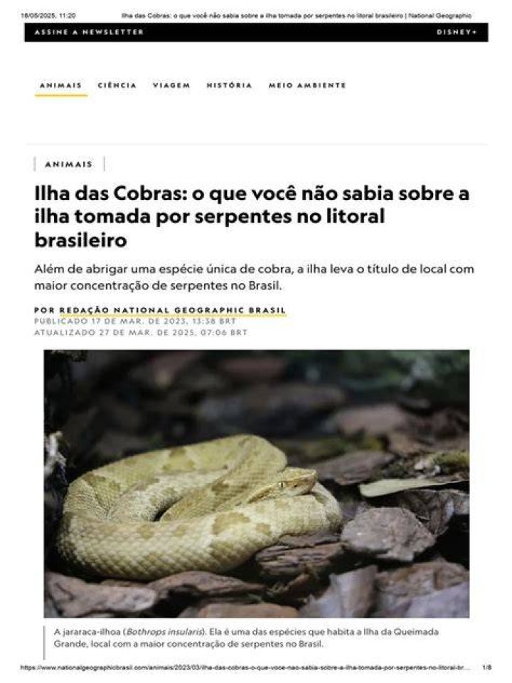 O que as cobras comem na Ilha das Cobras?