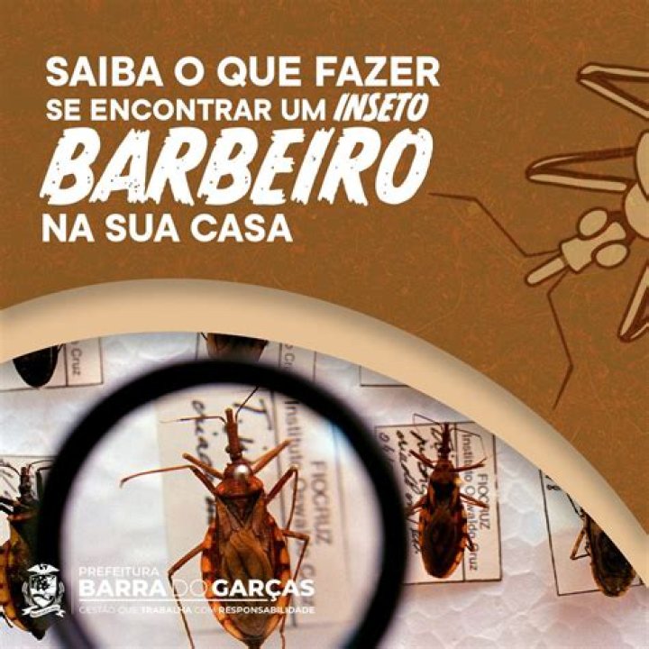 Onde o inseto barbeiro costuma se esconder?
