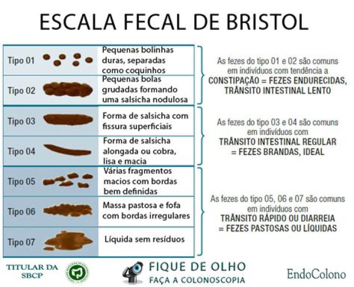 Onde se localizam as fezes?