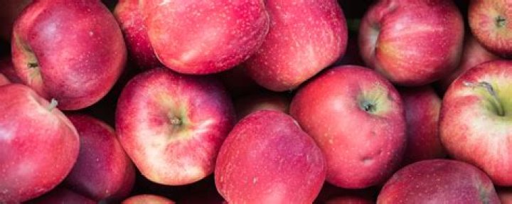 Pourquoi la pomme est un faux fruit ?