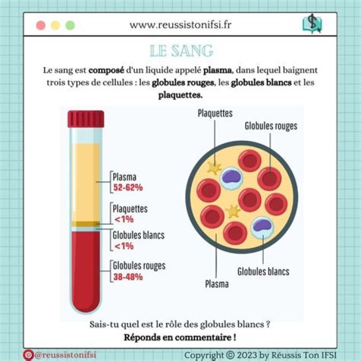 Pourquoi le sang est sale ?