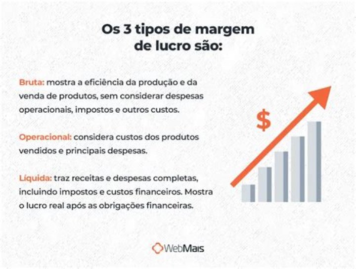 Qual a porcentagem ideal de lucro de uma empresa?