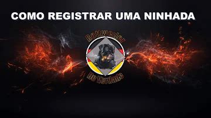 Qual o coletivo de ninhada?
