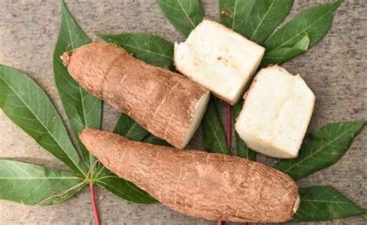 Qual o mal que a farinha de mandioca faz?