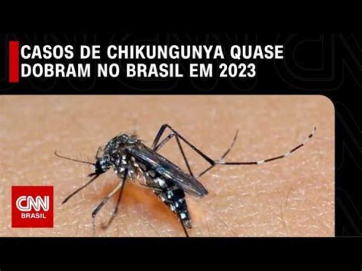 Quantos casos de chikungunya no Brasil em 2020?