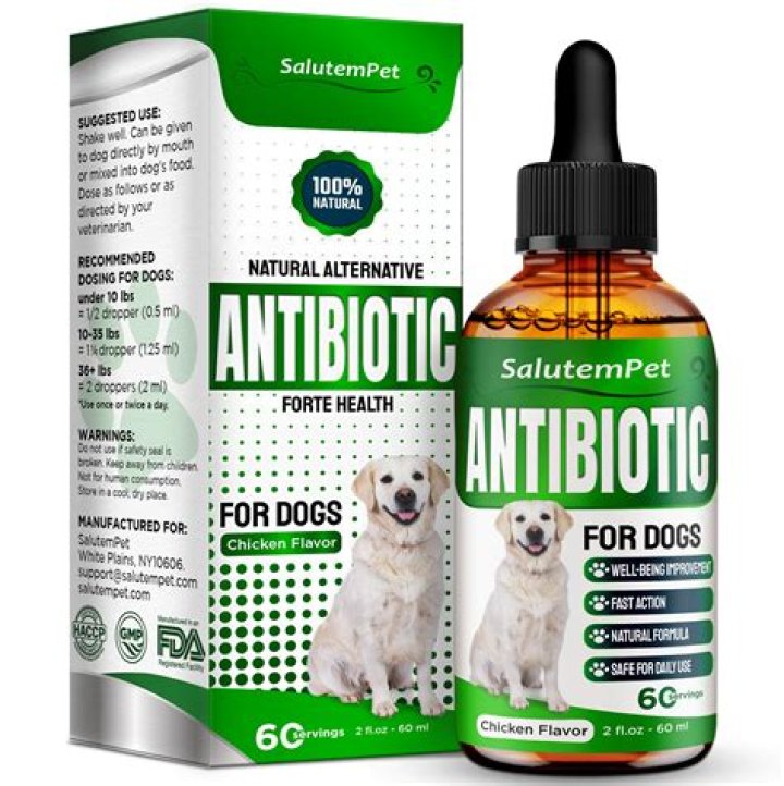 ¿Que antibioticos se le puede dar a un perro?