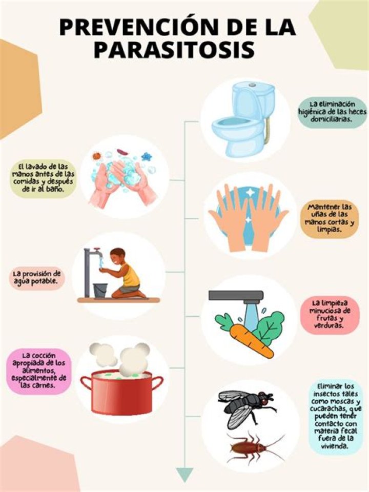 ¿Que debes hacer para evitar las enfermedades parasitarias?