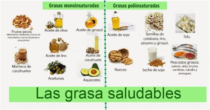 ¿Que nos aportan los aceites y grasas?