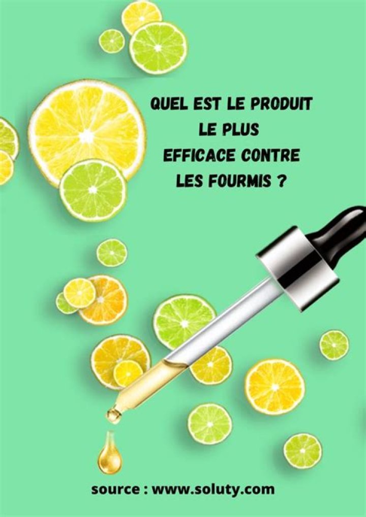 Quel est le produit le plus efficace contre les fourmis ?