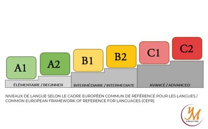 Quel niveau de langue au bac lv2 ?