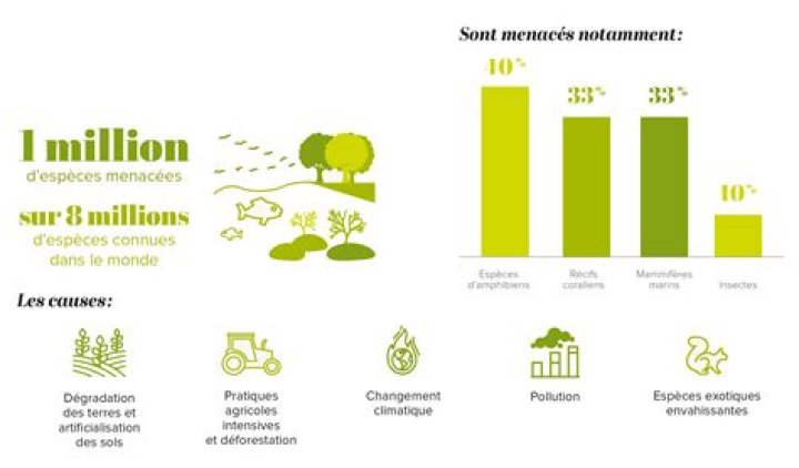Quelles sont les causes de la destruction de l'environnement ?