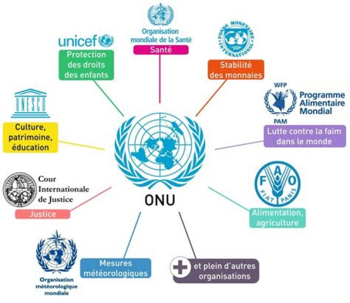 Quelles sont les organisations internationales ?