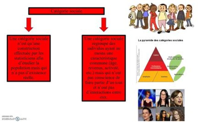 Quels sont les groupes sociaux ?