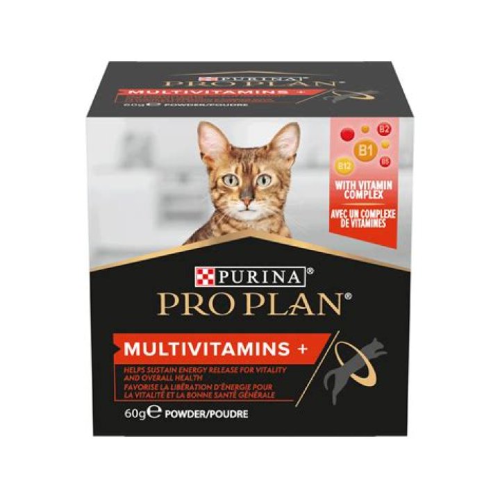 Should I be giving my cat vitamins?