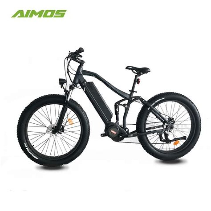 Should I buy an electric bike from China?