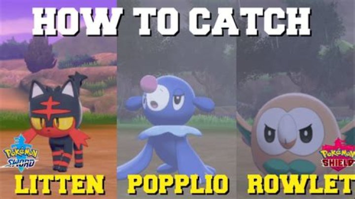 Should I choose Rowlet Litten or Popplio?